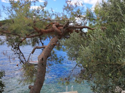 Apartment One bedroom apartment near beach Karbuni, Korčula A-9308-c - Outdoor photo 28