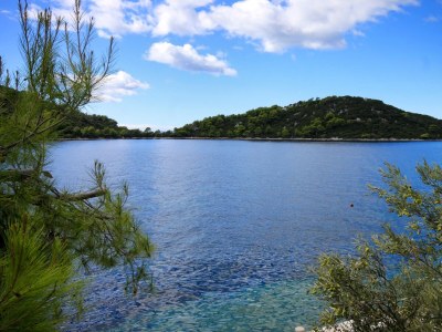 Apartment Studio flat near beach Karbuni, Korčula AS-9308-a - Outdoor photo 23