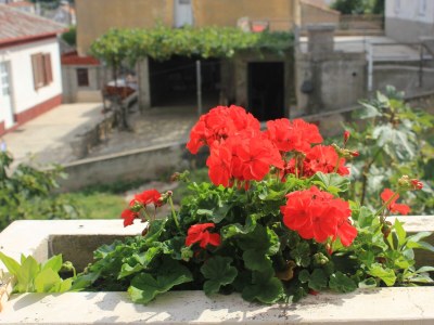 Apartment One bedroom apartment near beach Kali, Ugljan A-8503-b - Outdoor photo 12