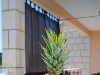 Apartment One bedroom apartment near beach Lumbarda, Korčula A-9325-b - Outdoor photo 43