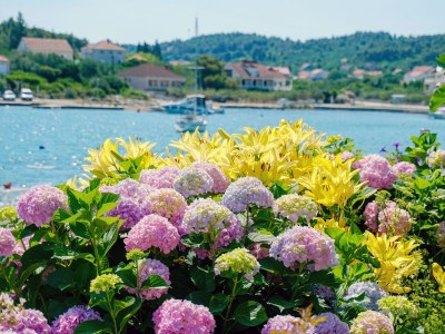 Apartment Studio flat near beach Lumbarda, Korčula AS-9325-a - Outdoor photo 15
