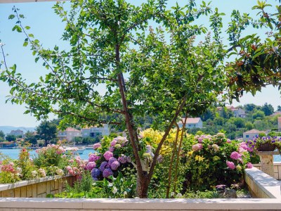 Apartment Studio flat near beach Lumbarda, Korčula AS-9325-a - Outdoor photo 41