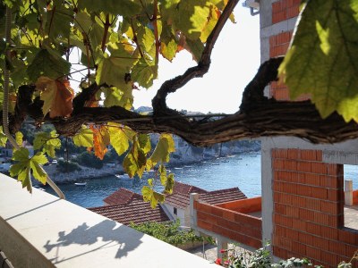 Apartment Two bedroom apartment near beach Zavalatica, Korčula A-9315-a - Outdoor photo 37