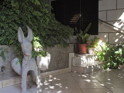 Apartment Two bedroom apartment near beach Zavalatica, Korčula A-9315-b - Outdoor photo 8