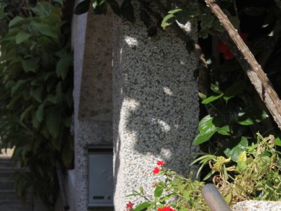 Apartment Two bedroom apartment near beach Zavalatica, Korčula A-9315-b - Outdoor photo 14