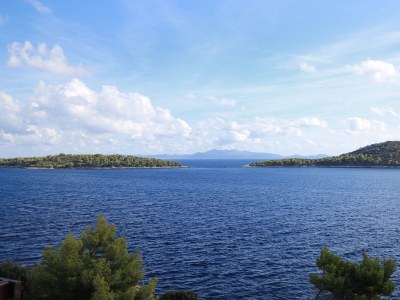 Apartment One bedroom apartment near beach Prižba, Korčula A-9255-a - Outdoor photo 24