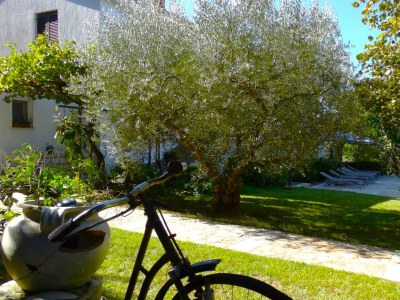 Holiday apartment Adriana - Outdoor photo 21