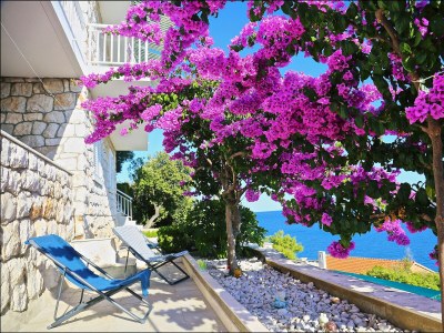 Apartment Two bedroom apartment near beach Prižba, Korčula A-9255-b - Outdoor photo 8
