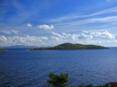 Apartment Two bedroom apartment near beach Prižba, Korčula A-9255-b - Outdoor photo 21