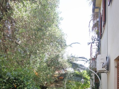 Apartment One bedroom apartment with terrace Orebić, Pelješac A-10075-c - Outdoor photo 17