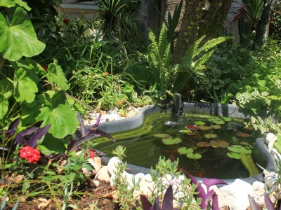 Apartment Two bedroom apartment with terrace Orebić, Pelješac A-10075-e - Outdoor photo 6