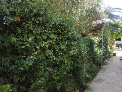 Apartment Two bedroom apartment with terrace Orebić, Pelješac A-10075-e - Outdoor photo 8