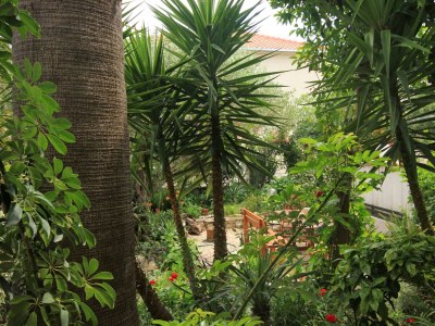 Apartment Two bedroom apartment with terrace Orebić, Pelješac A-10075-e - Outdoor photo 21