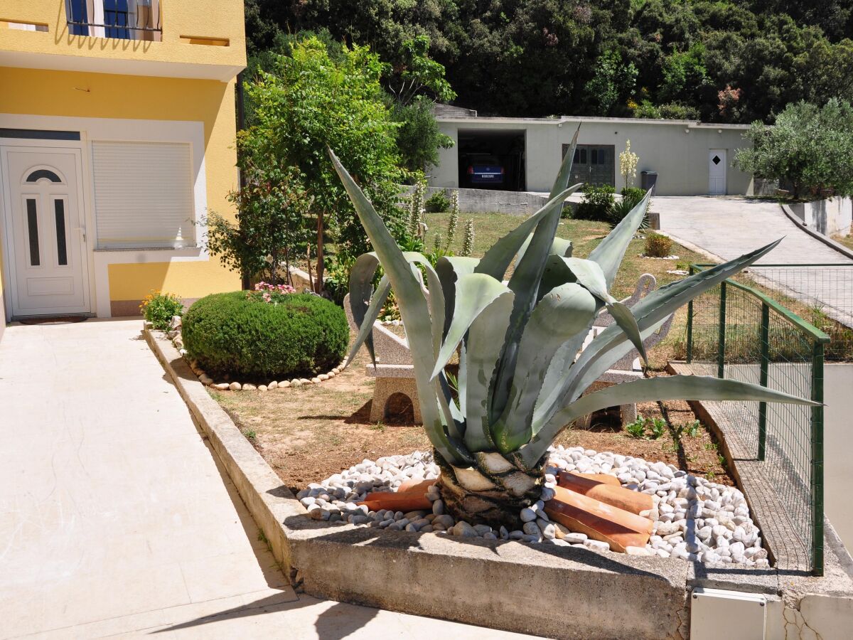 Apartment Two bedroom apartment with terrace and sea view Supetarska Draga - Gornja, Rab A-5055-c - Outdoor photo 4