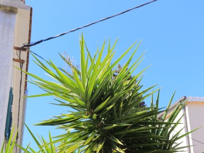 Apartment Two bedroom apartment with air-conditioning Split A-7588-a - Outdoor photo 5