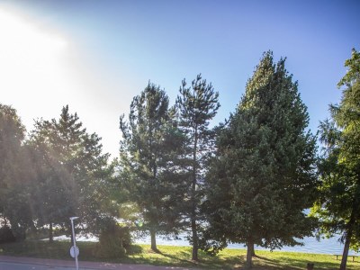 Holiday house One bedroom house with terrace Sabljak Selo, Gorski kotar K-20580 - Outdoor photo 10