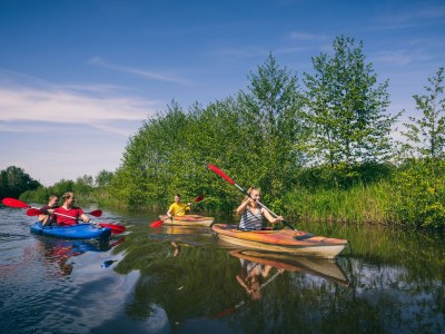 Chalet Vakantiepark Klein Vink - 25A - Outdoor photo 15