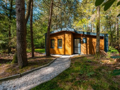 Chalet Vakantiepark De Wiltzangh - Zandborg Lodge in Ruinen - Chalet