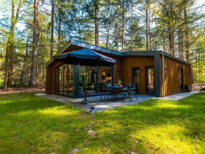 Chalet Vakantiepark De Wiltzangh - Zandborg Lodge - Outdoor photo 2