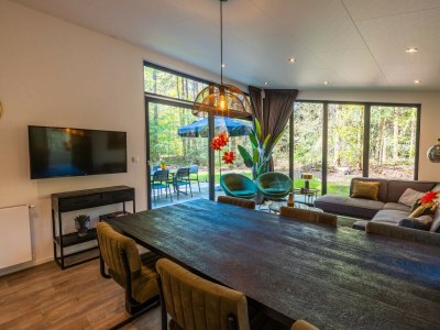 Chalet Vakantiepark De Wiltzangh - Zandborg Lodge - Features photo 4