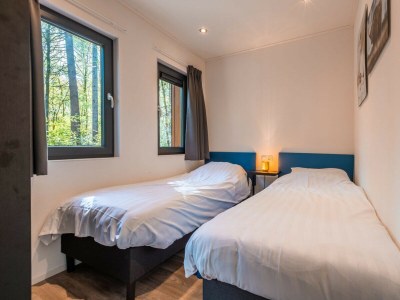 Chalet Vakantiepark De Wiltzangh - Zandborg Lodge - Features photo 10