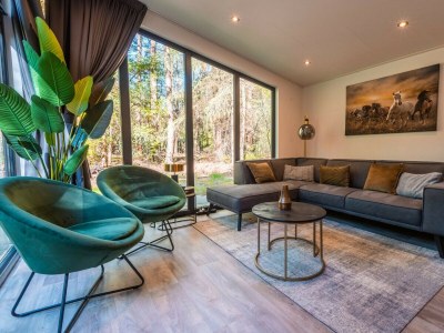 Chalet Vakantiepark De Wiltzangh - Zandborg Lodge - Features photo 13