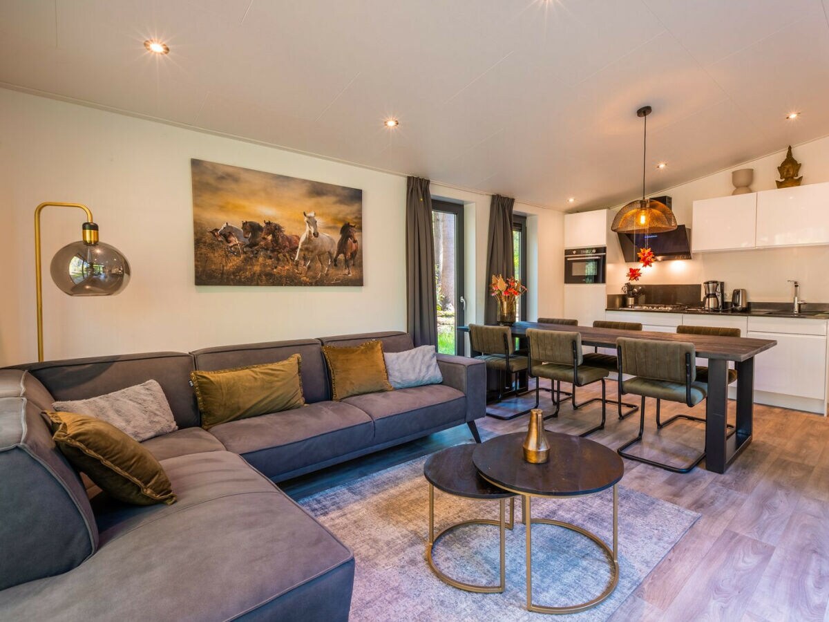 Chalet Vakantiepark De Wiltzangh - Zandborg Lodge - Features photo 5