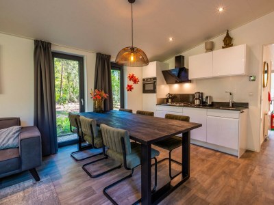 Chalet Vakantiepark De Wiltzangh - Zandborg Lodge - Features photo 6