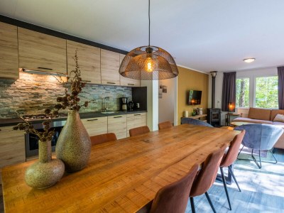 Chalet Vakantiepark De Wiltzangh - Venneborg Lodge - Features photo 6