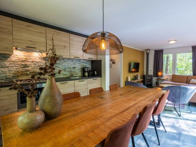 Chalet Vakantiepark De Wiltzangh- Vennenborg Lodge Hottub - Outdoor photo 14