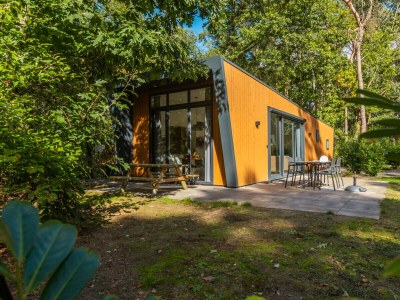 Chalet Vakantiepark De Wiltzangh - Heideborg Lodge Hottub in Ruinen - Chalet