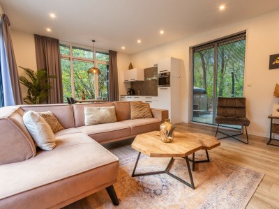 Chalet Vakantiepark De Wiltzangh - Heideborg Lodge Hottub - Features photo 8