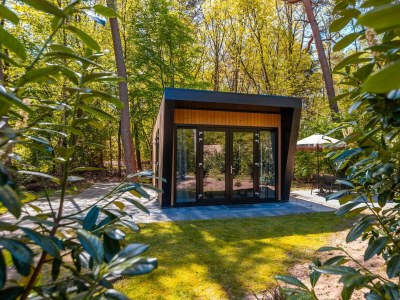 Chalet Vakantiepark De Wiltzangh - Heideborg Lodge in Ruinen - Chalet