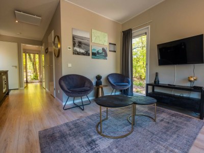 Chalet Vakantiepark De Wiltzangh - Heideborg Lodge - Features photo 7