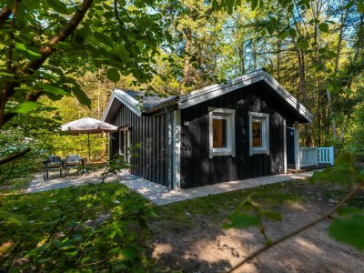Chalet Vakantiepark De Wiltzangh - Houtenborg Lodge in Ruinen - Chalet