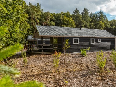 Chalet Vakantiepark De Wiltzangh - Veenborg Lodge - Outdoor photo 4