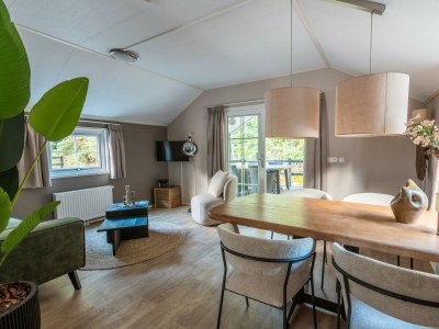 Chalet Vakantiepark De Wiltzangh - Veenborg Lodge - Features photo 6