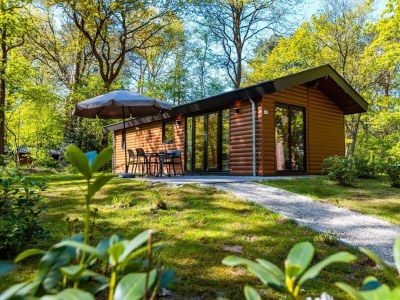 Chalet Vakantiepark De Wiltzangh - Sterrenborg Lodge Hott - Outdoor photo 13