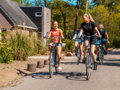 Chalet Vakantiepark De Wiltzangh - Sterrenborg Lodge Hott - Outdoor photo 16