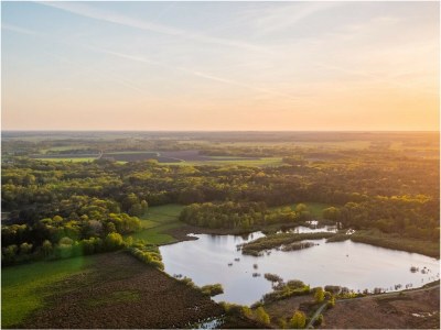 Chalet Vakantiepark De Wiltzangh - Bosrand Wellness Cabin - Environment photo 14