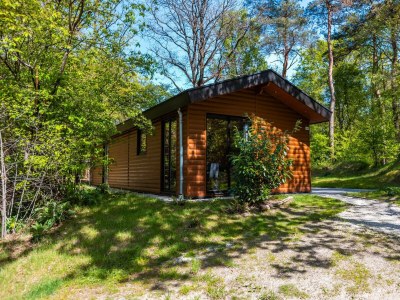 Chalet Vakantiepark De Wiltzangh - Esborg Wellness Lodge in Ruinen - Chalet