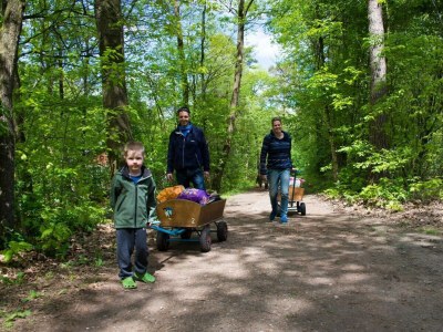 Chalet Vakantiepark De Wiltzangh - Esborg Wellness Lodge - Outdoor photo 17