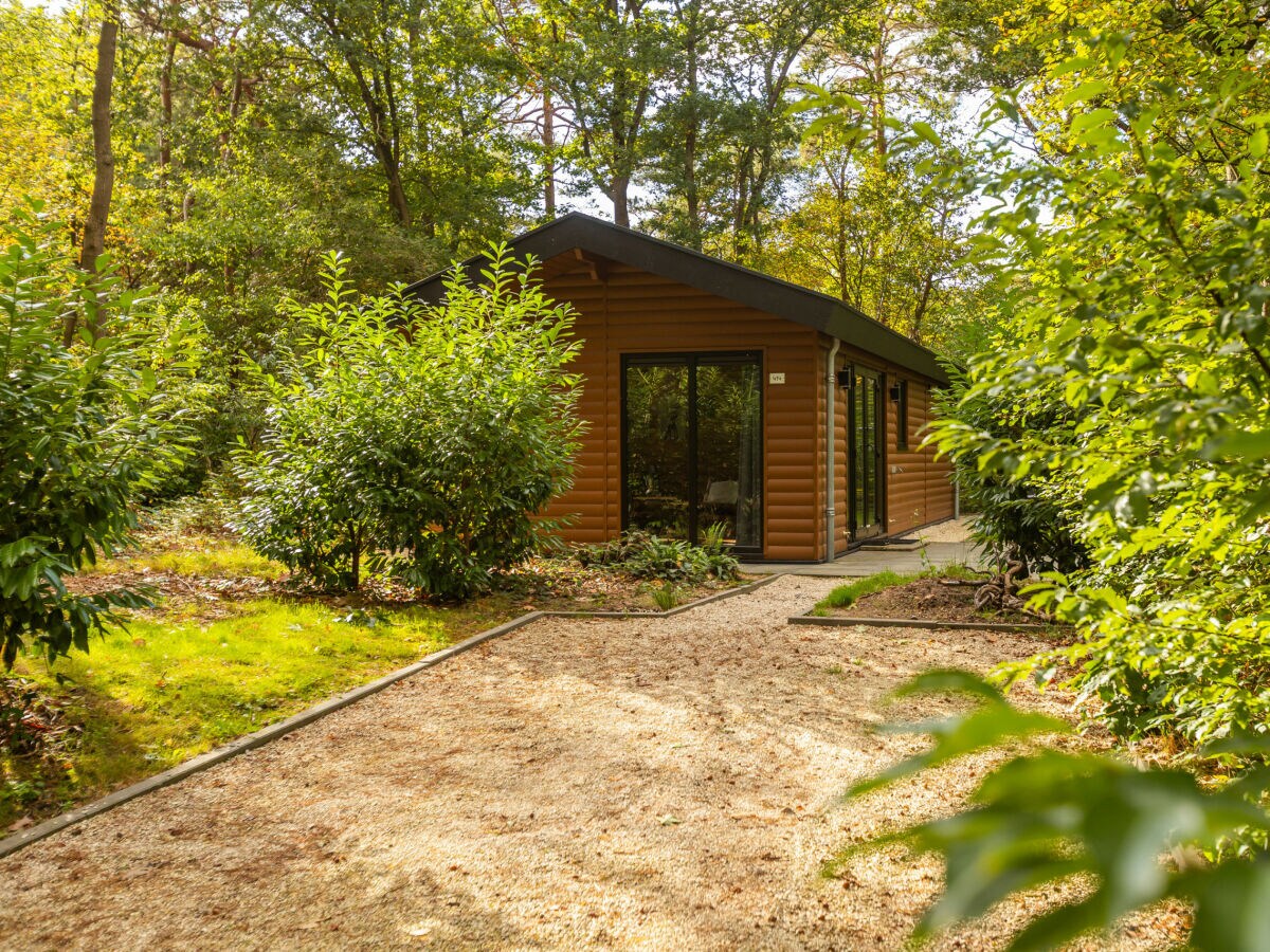 Chalet Vakantiepark De Wiltzangh - Sterrenborg Lodge