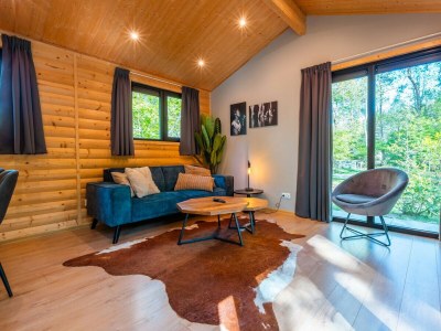 Chalet Vakantiepark De Wiltzangh - Sterrenborg Lodge - Features photo 8