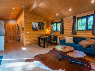 Chalet Vakantiepark De Wiltzangh - Sterrenborg Lodge - Features photo 9