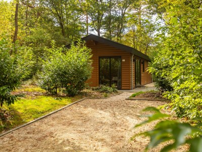 Chalet Vakantiepark De Wiltzangh - Sterrenborg Lodge in Ruinen - Chalet