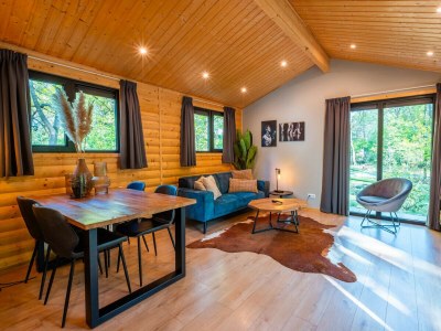 Chalet Vakantiepark De Wiltzangh - Sterrenborg Lodge - Features photo 11