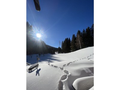 Chalet Mountain Hideaway - Features photo 23