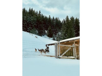 Chalet Mountain Hideaway - Features photo 27