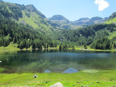 Chalet Mountain Hideaway - Environment photo 31